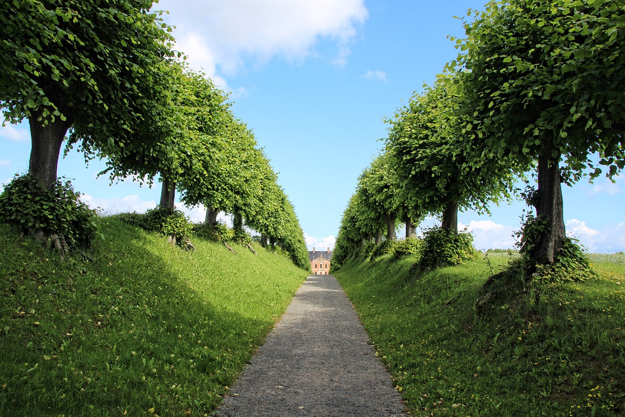 image of garden