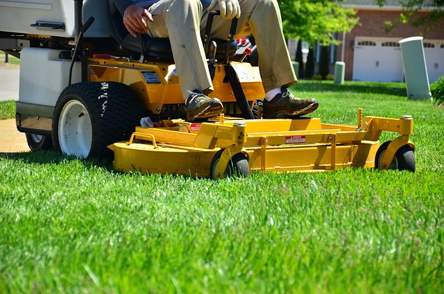 lawn care image
