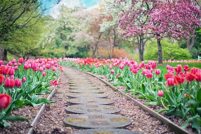 garden path image