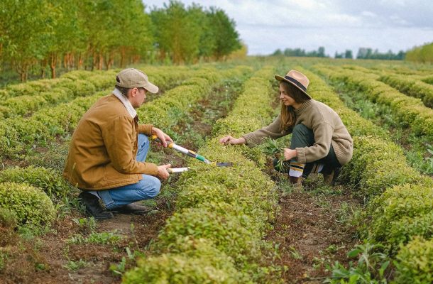 Man and woman in the farm Man and woman in the farm