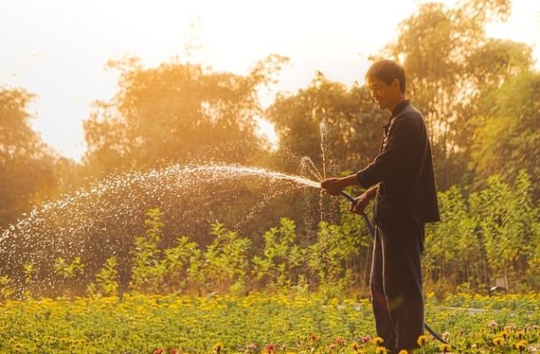 Man watering land with pipe