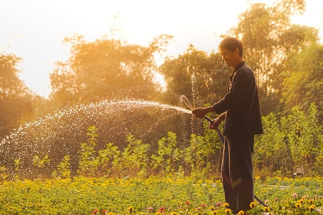 man watering plants