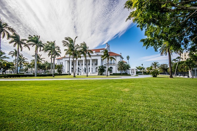 lawn image