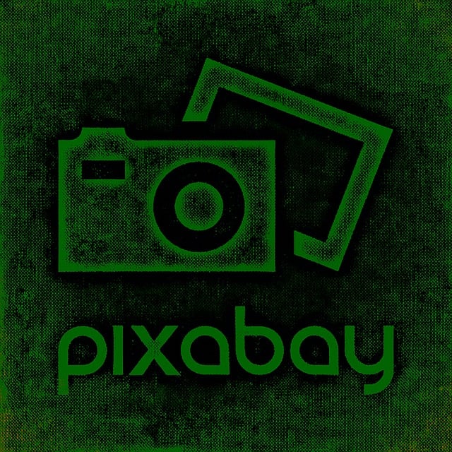 company logo